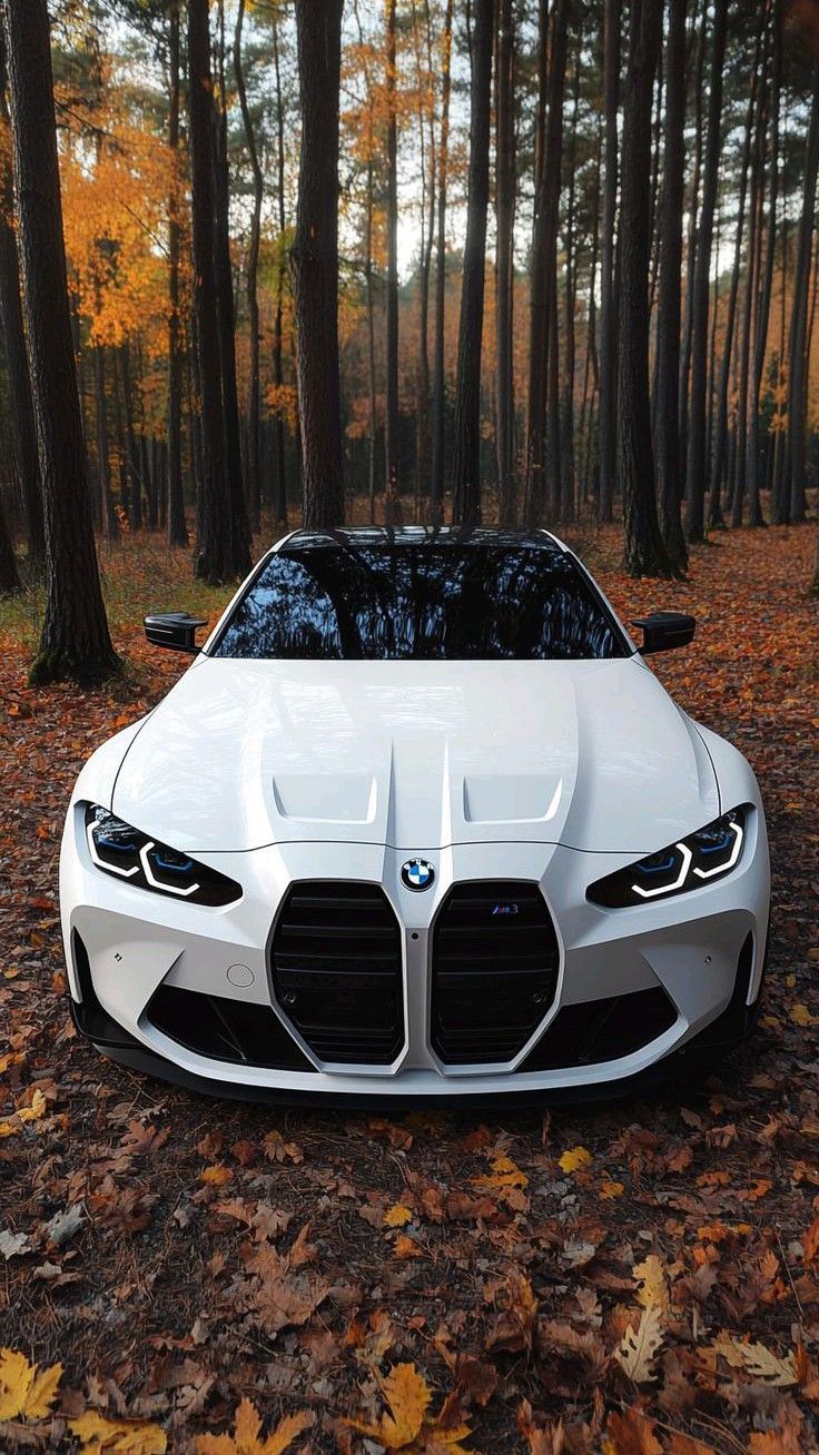 Luxury car with driver